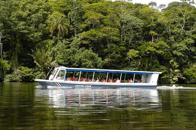 Sarapiqui River Cruise & Rainforest Walk. Private Tour - Tour Reviews