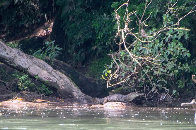 Sarapiquí River Jungle Kayak Tour - Participant Reviews