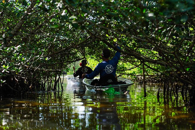 Sarasota Clear Kayak Tour - Tour Overview