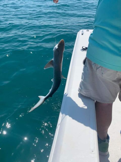 Sarasota Florida Sport Fishing: Skyway Fishing Tours - Frequently Asked Questions