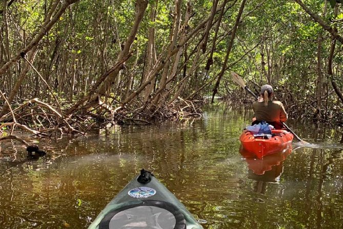 Sarasota Guided Mangrove Tunnel Kayak Tour - Skill Level Suitability