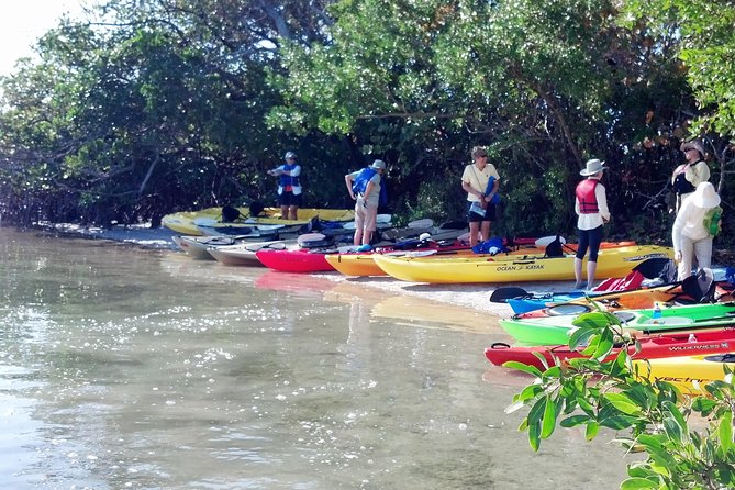 Sarasota Guided Mangrove Tunnel Kayak Tour - Cancellation Policy
