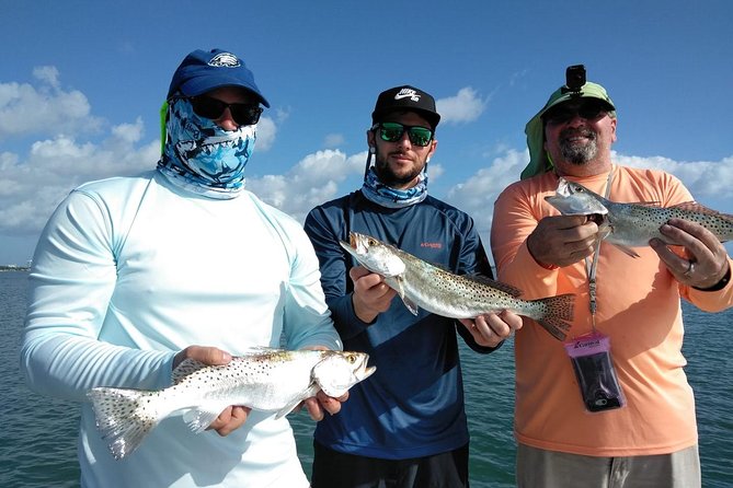 Sarasota Inshore Fishing Charters - Marine Environment and Wildlife