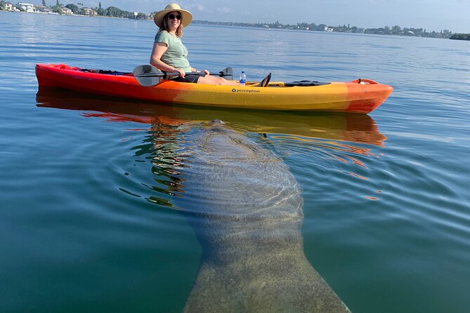 Sarasota Mangrove Tunnel Guided Kayak Adventure - Just The Basics