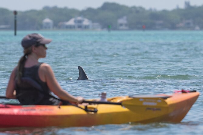 Sarasota Mangrove Tunnel Guided Kayak Adventure - Cancellation Policy