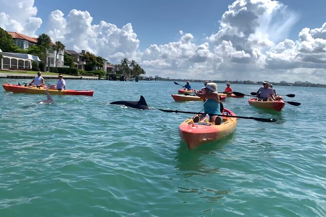Sarasota Mangrove Tunnel Guided Kayak Adventure - Highlights From Customer Reviews