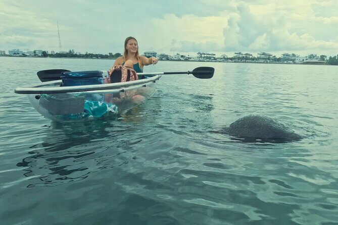 Sarasota Waterways Tour for All Ages - The Experience: From Launch to Landing