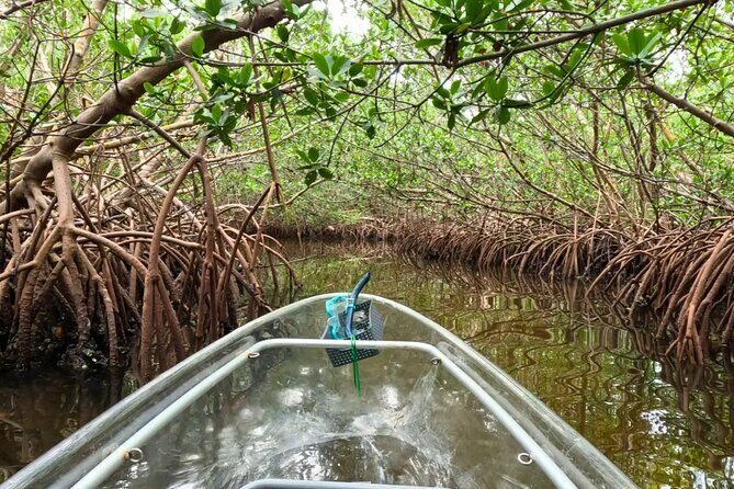 Sarasota Waterways Tour for All Ages - Final Thoughts: Who Should Sign Up?