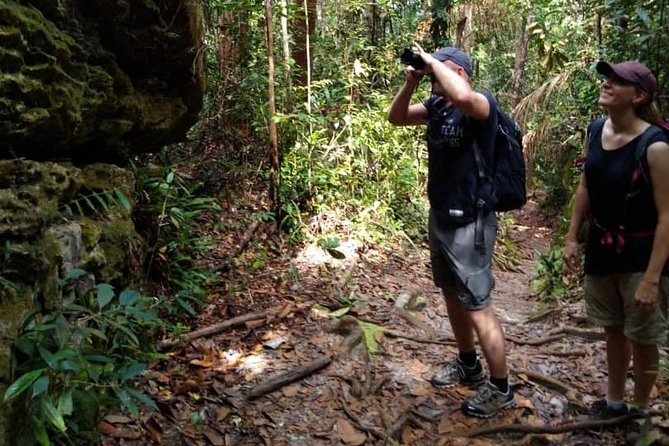 Sarawak Bako National Park Tour : Pristine Rainforest Jungle - Wildlife Spotting Opportunities