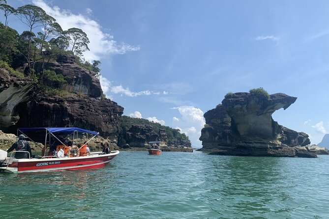 Sarawak Bako National Park Tour : Rainforest Flora & Fauna - Cancellation and Reviews