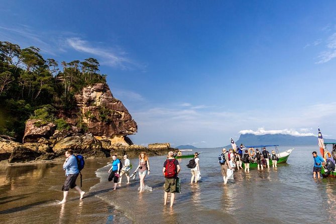 Sarawak Bako National Park Tour : Rainforest Flora & Fauna - Rainforest Flora and Fauna