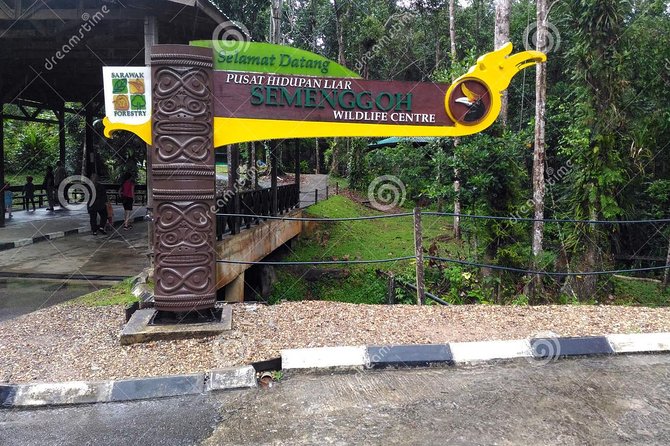 Sarawak Orangutan Semenggoh Wildlife Centre Tour - Feeding Behavior and Fruiting Season