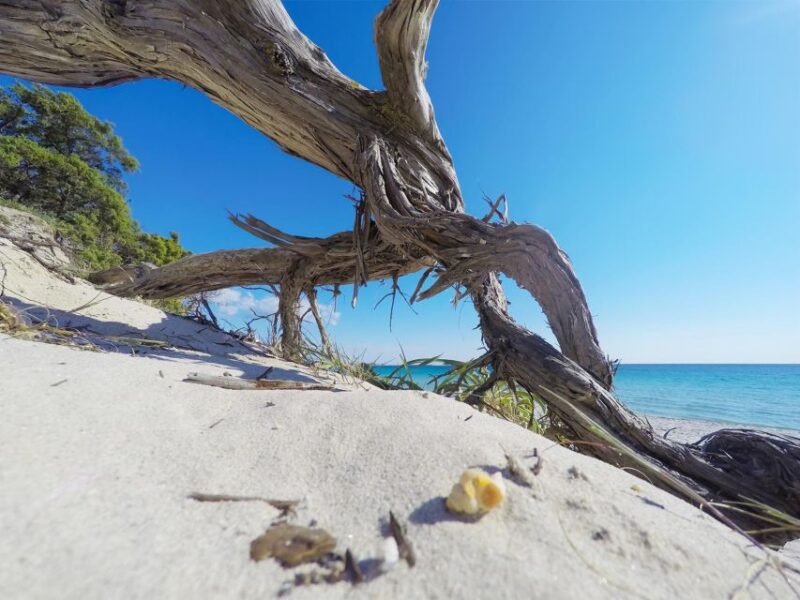 Sardinia & Corsica: 14-Day Enchanted Islands' Tour - Accommodation and Transport