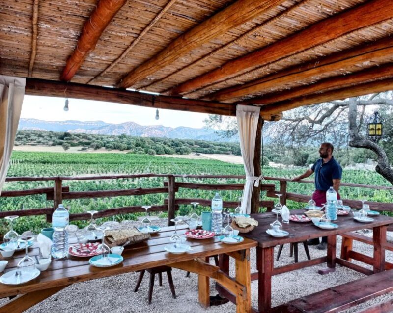 Sardinia: Dorgali Winery Tour With Tasting and Local Guide - Experience Highlights