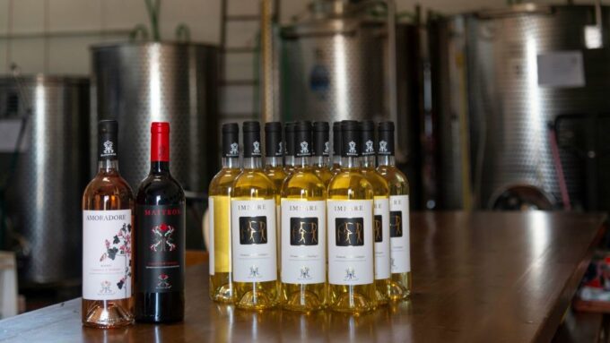Sardinia: Dorgali Winery Tour With Tasting and Local Guide - Archaeological and Natural Sites