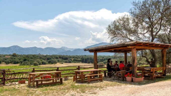 Sardinia: Dorgali Winery Tour With Tasting and Local Guide - Frequently Asked Questions