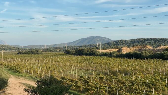 Sardinia: Food and Wine Tour by Tuk Tuk or Minivan - Frequently Asked Questions