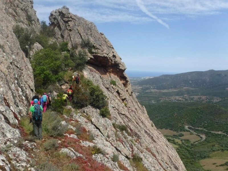 Sardinia, Monte Ruiu: Punta Manna Ring Hiking Guided Tour - Key Points