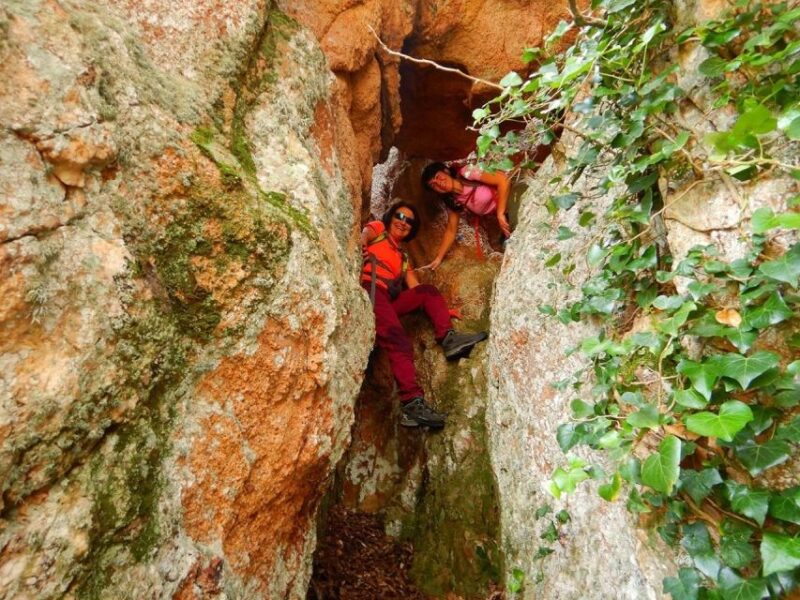 Sardinia, Monte Ruiu: Punta Manna Ring Hiking Guided Tour - Difficulty and Suitability