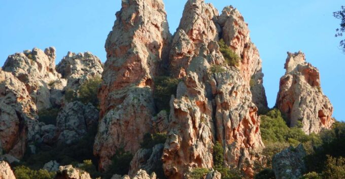 Sardinia, Monte Ruiu: Punta Manna Ring Hiking Guided Tour - Language and Group Options