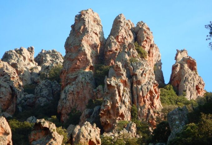 Sardinia, Monte Ruiu: Punta Manna Ring Hiking Guided Tour - Experience and Memories