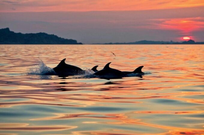 Sardinia: Sunset Kayak Tour With Snorkeling and Aperitif - Kayaking and Snorkeling