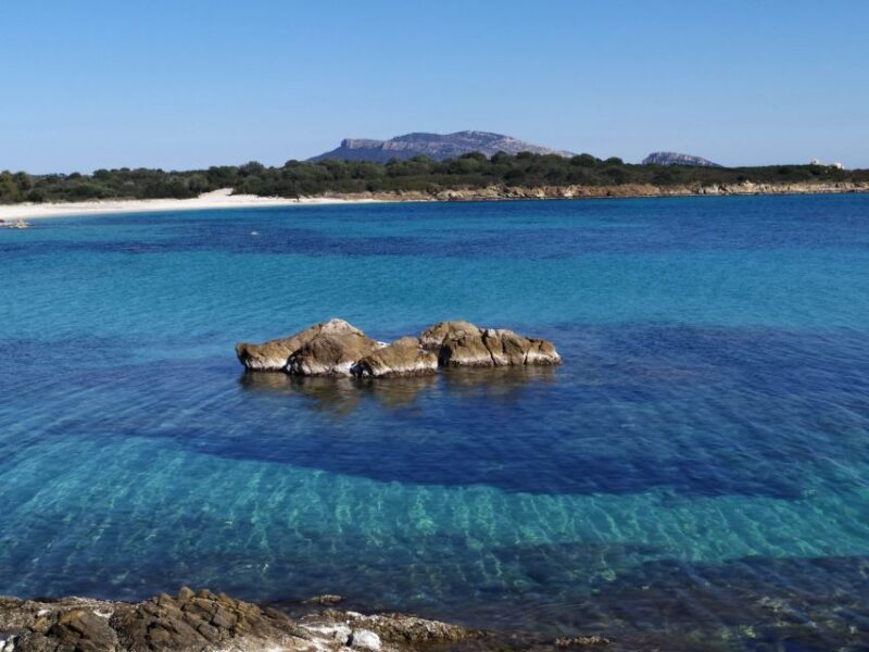Sardinia: Tour Costa Smeralda in Minibus - Minibus Experience