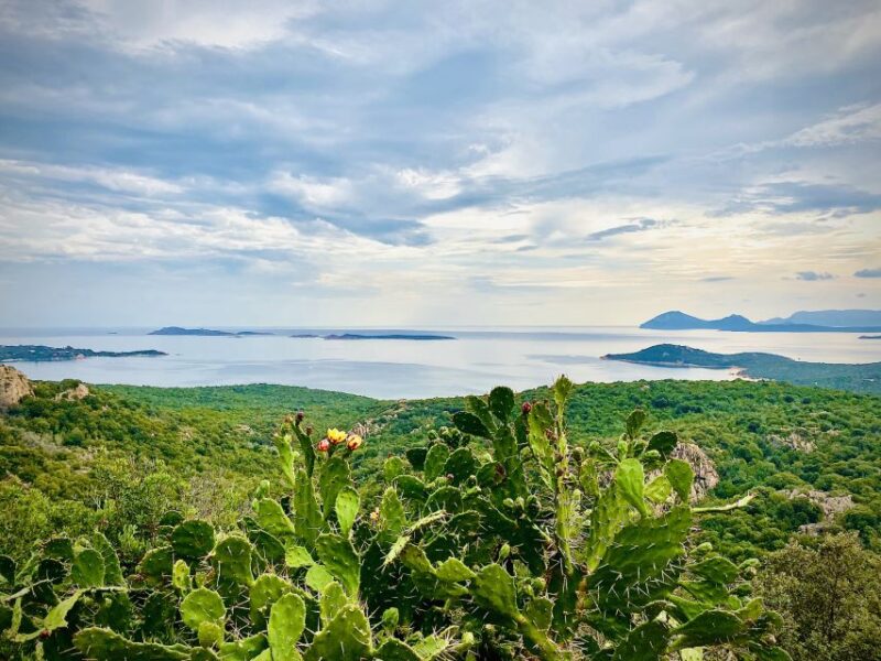 SARDINIA : Tour of the Costa Smeralda With Stops - Included Transportation