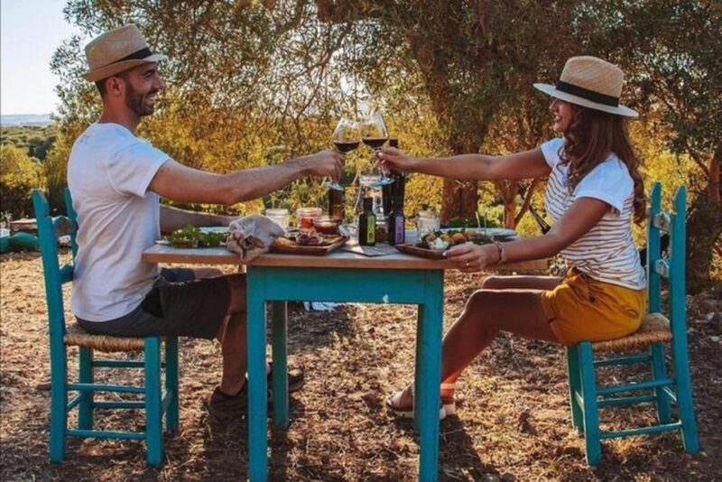 Sardinian Olive Oil Tasting & Picnic Among the Olive Trees - Activity Highlights