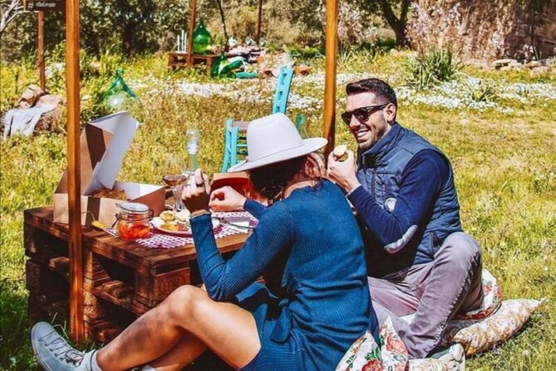 Sardinian Olive Oil Tasting & Picnic Among the Olive Trees - Picnic Among Olive Trees