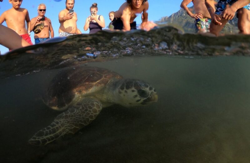Sarigerme: Dalyan, Turtle Beach, Mud Bath, & King Tombs Tour - Experience Details