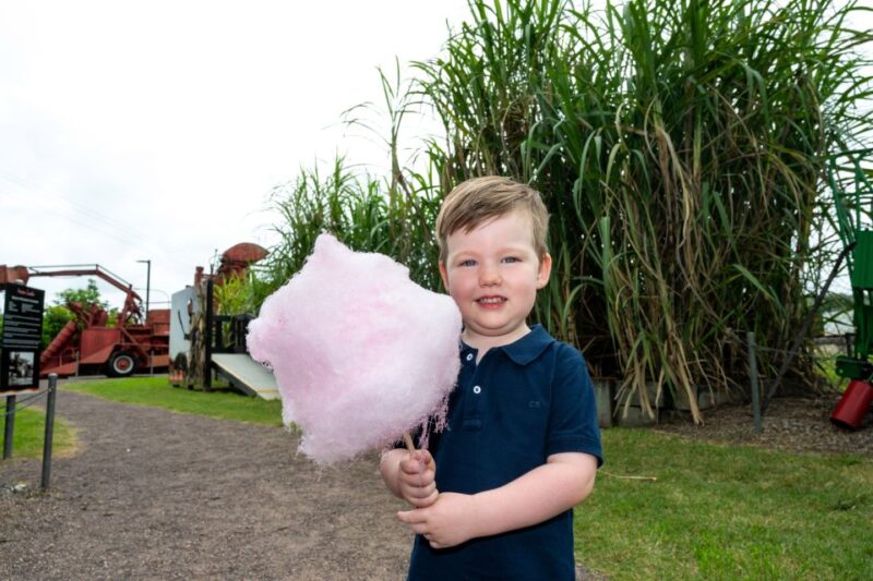 Sarina: Guided Tour of the Sarina Sugar Shed With Tasting - Tasting Session Details