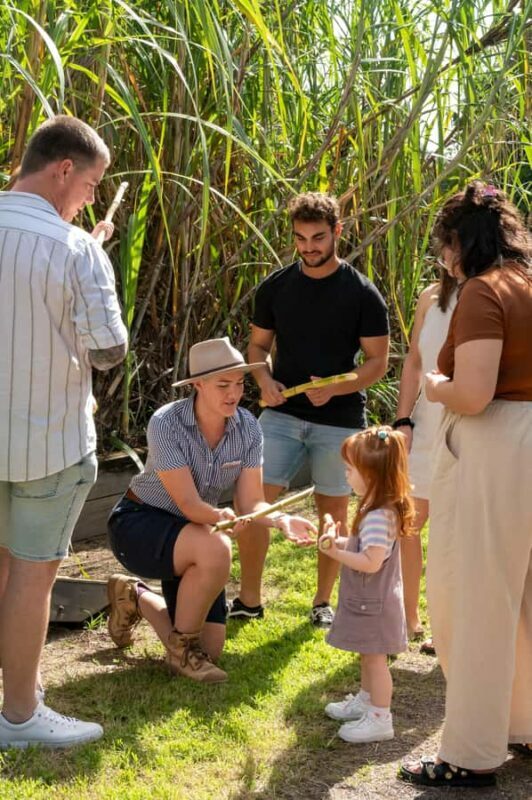 Sarina: Sarina Sugar Shed Guided Tour with Tastings - What Travelers Say: Authentic Voices