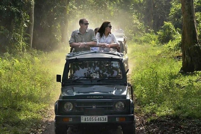 Sariska Tiger Reserve Safari Tour From Jaipur - Safari Experience and Activities