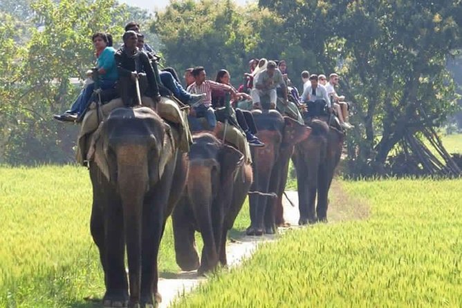 Sariska Tiger Reserve Safari Tour From Jaipur - Booking and Cancellation Policy