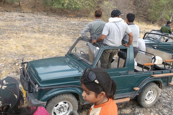 Sariska Wild Life Tour By Private Car With Jungle Safari Gypsy - Sariska Wildlife Tour Experience