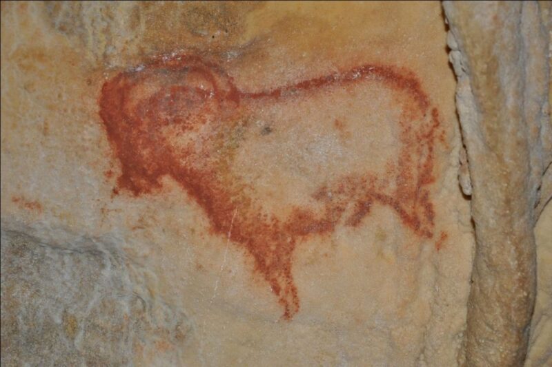 Sarlat-la-Canéda: Cave and Castle Private Tour - Early Human Technologies