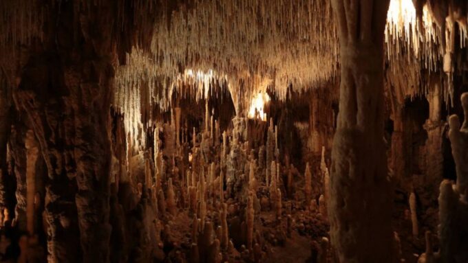 Sarlat-la-Canéda: Cave and Castle Private Tour - Important Considerations