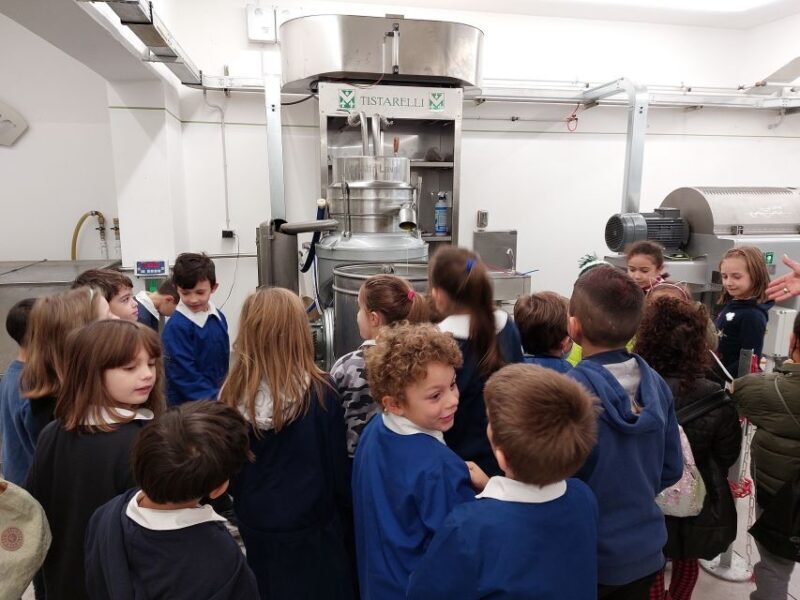 Sarteano: Visit to the Mill and Oil Tasting - Accessibility and Group Options