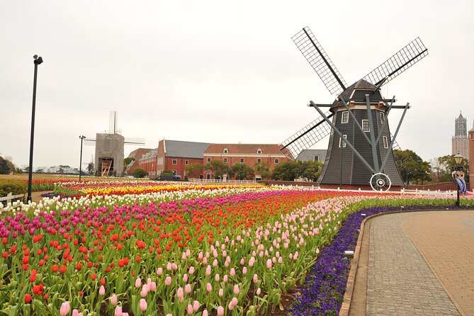 Sasebo Private Customizable Full Day Tour - Key Points