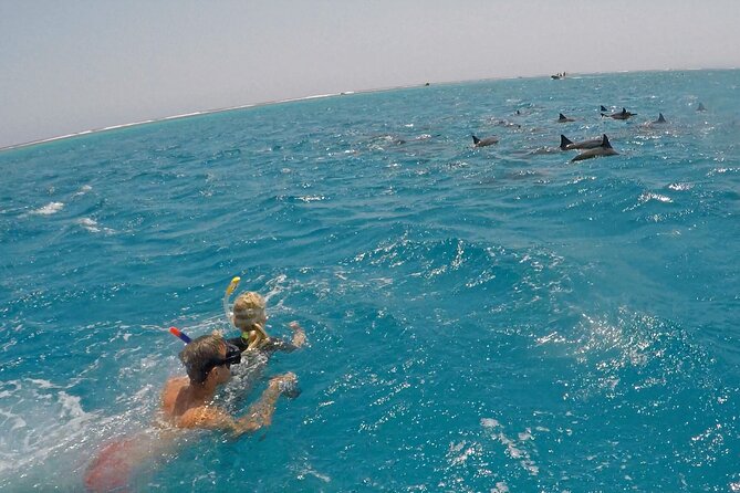 Sataya Dolphin House Snorkel Trip - Marsa Alam - Pricing and Cancellation Policy