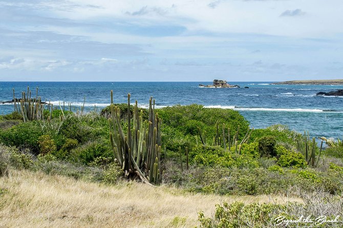Savane Des Petrifications Hike - Planning Your Savane Des Petrifications Visit