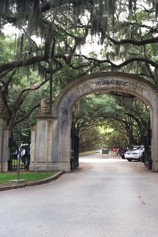 Savannah: Best of the City Tour With Wormsloe Historic Site - Highlights of the Tour