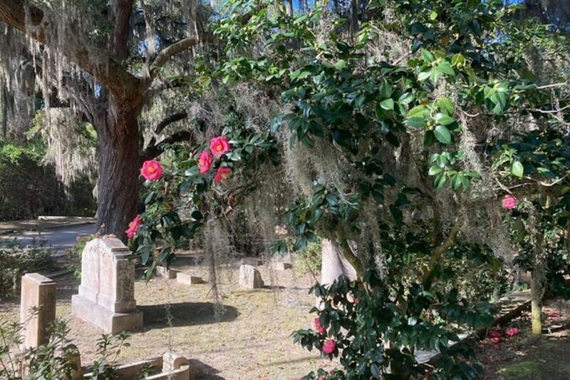 Savannah: Bonaventure Cemetery Golf Cart Guided Tour - The Itinerary: What Youll See
