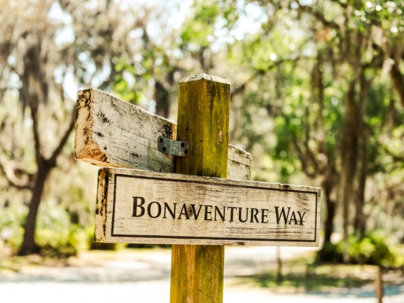 Savannah: Bonaventure Cemetery Tour - Pricing and Booking