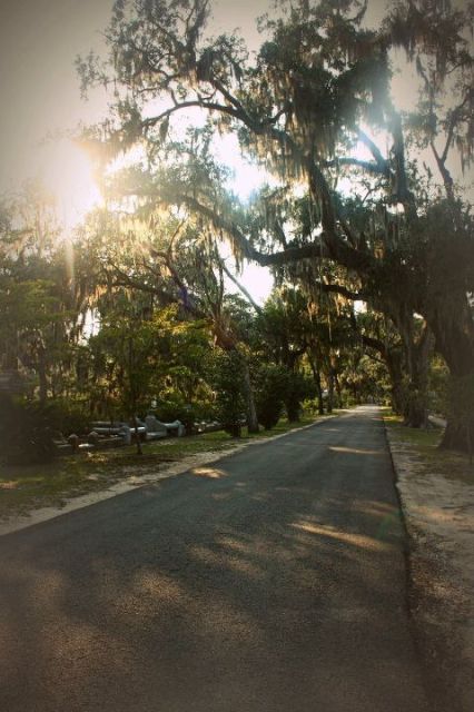 Savannah: Bonaventure Is Forever Cemetery Tour - Key Points