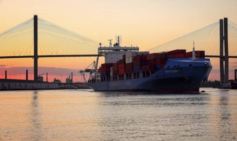 Savannah: Cruise Port Tour - Amenities and Activities