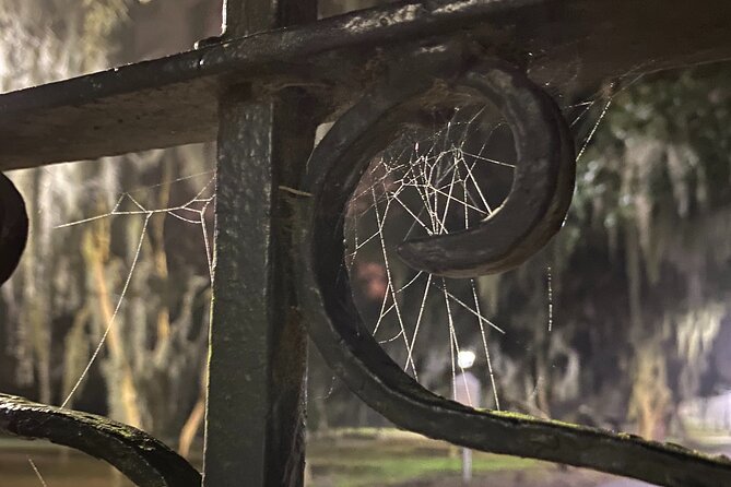 Savannah Ghost Tour for Adults ALL Alcoholic Drinks Included - Transportation and Accessibility