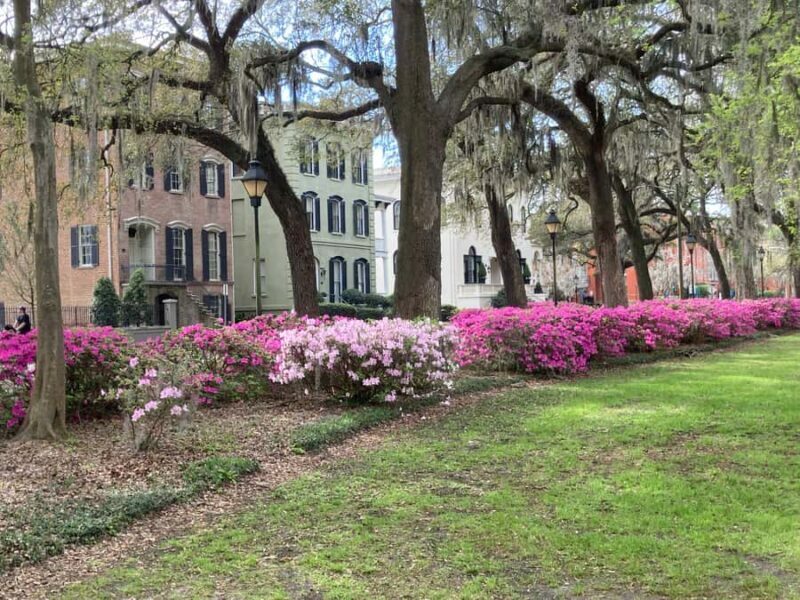 Savannah: Highlights & Hidden Gems Guided Walking Tour - Introduction