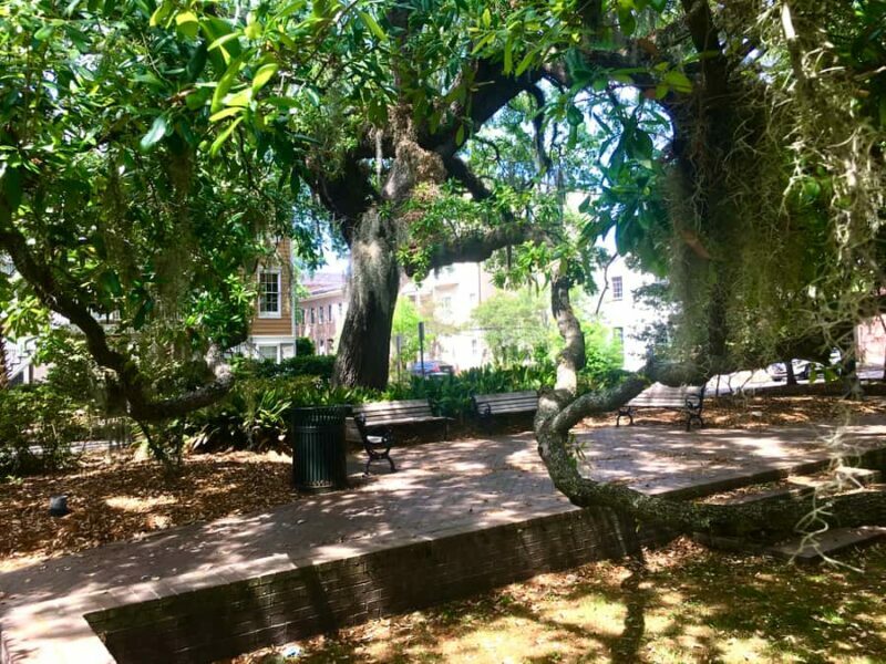 Savannah: Highlights & Hidden Gems Guided Walking Tour - Discovering Savannah’s Squares and Civic Spaces